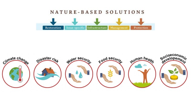 Soluciones basadas en la naturaleza UICN
